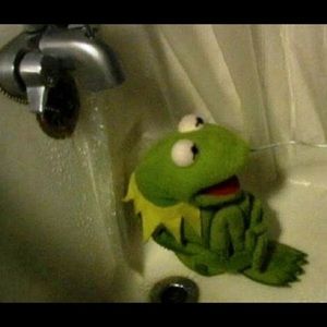 Meet your Posher, Sophia